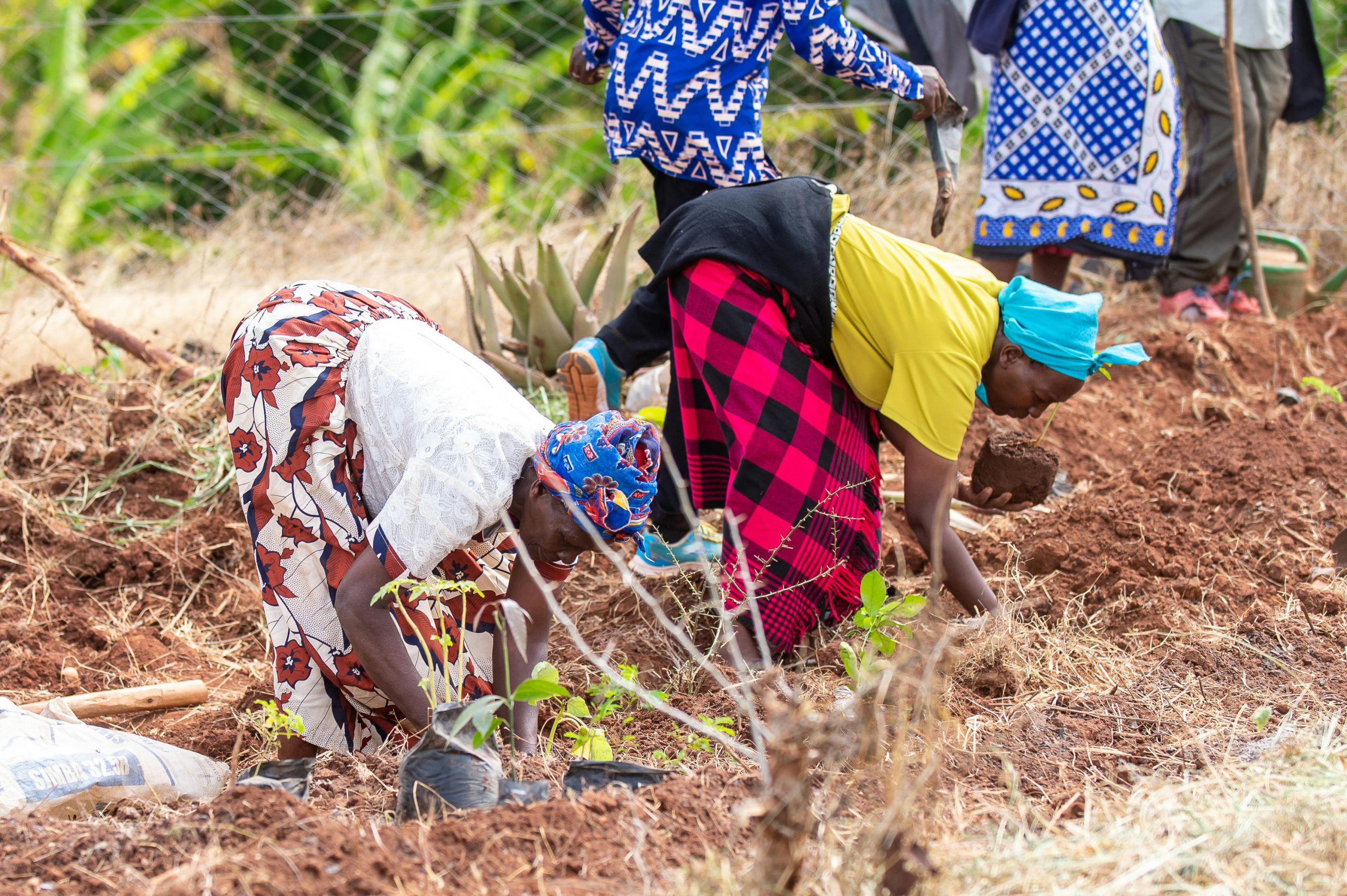 Women at the Farm